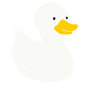 White Duck Stencil