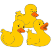 Three Ducks  Picture