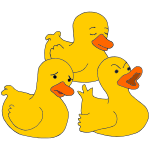 Three Ducks Picture