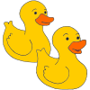Ducks+quack Picture