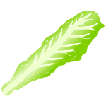 Lettuce Leaf Stencil