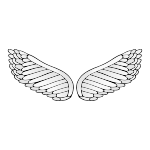 Wings Picture