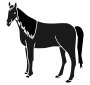 Dark Horse Stencil