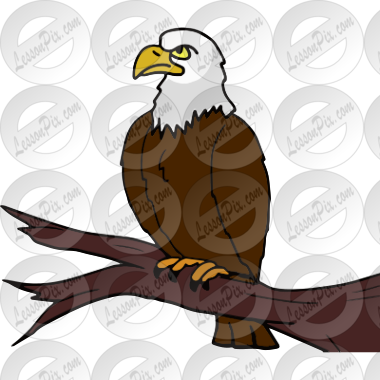 classroom clipart eagle
