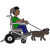 pet