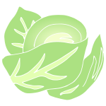 Cabbage Stencil