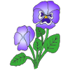 Purple+flower Picture