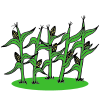 A field of corn! Can't go under it, can't go over it.