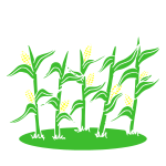 Corn Stalks Stencil