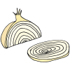 onion Picture