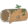 Hollow+Log Picture