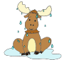 Wet Moose Picture