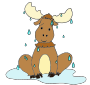 Wet Moose