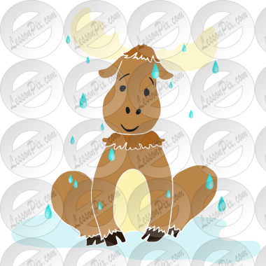 Wet Moose