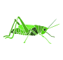 Grasshopper Stencil