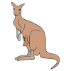 The kangaroos were pouching