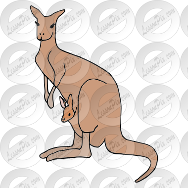 Kangaroo Picture