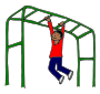 Monkey Bars