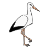 stork Picture