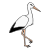 bird