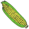 We eat corn. We are starting to get full!