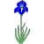 bulb