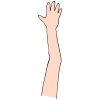 Raise+Hand Picture