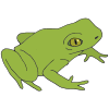 A Frog lives in the swamp.