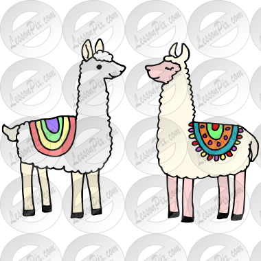 Llamas Picture