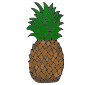 Pineapple Picture