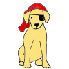 pirate dog