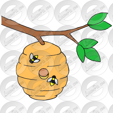 Bee Hive