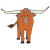 bull