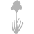 bulb