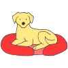 dog bed