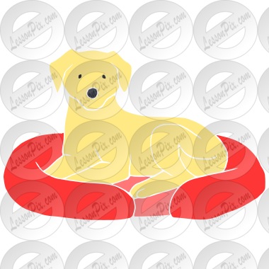 Dog Bed