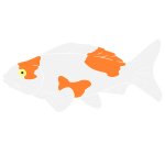 Koi Fish Stencil