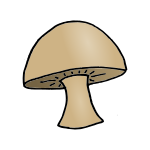 Mushroom Picture