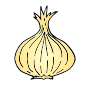 Onion Picture