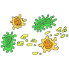 Bacteria Picture