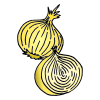 Onion-Cebolla Picture