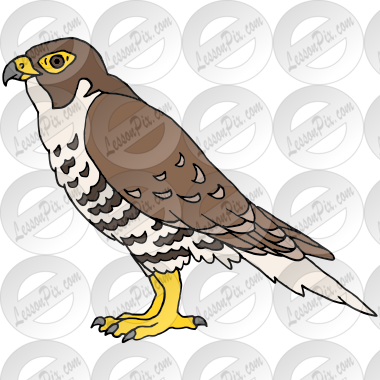 falcon clip art