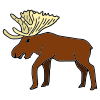 Moose%0AMoose+are+the+largest+of+all+the+deer+species+in+the+world. Picture