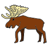 See A Moose