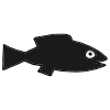 black+fish Picture
