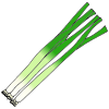 des échalottes