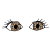 pupils