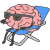 brain