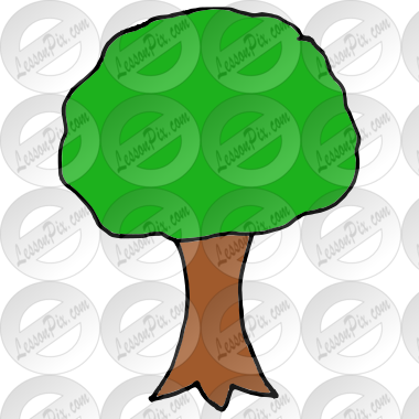 0 Apples