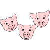 pigs Picture